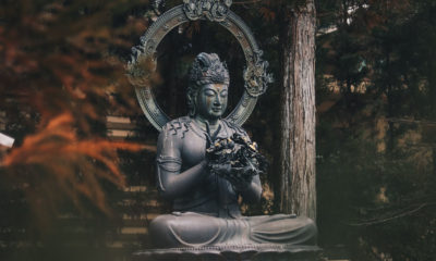 Pema Chodron Quotes Image