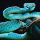 Feng Shui Astrology For May 2021 Image