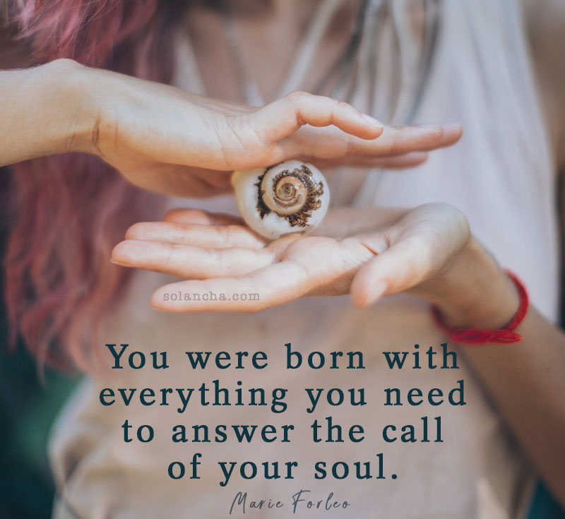 soul purpose quote image