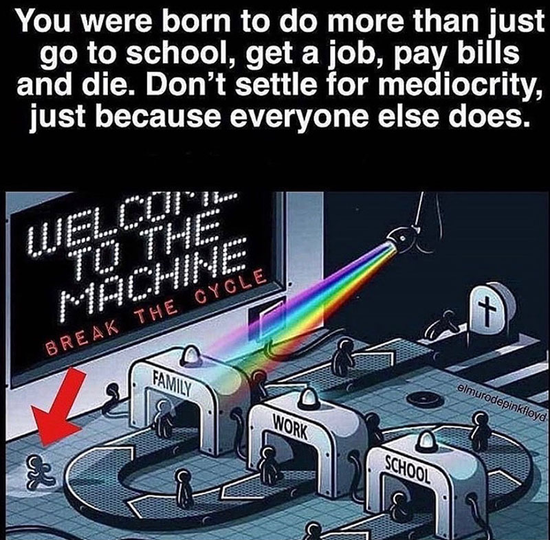 quotes about living in the system image