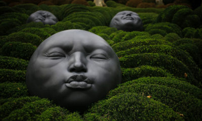 What is shadow emotions? Image