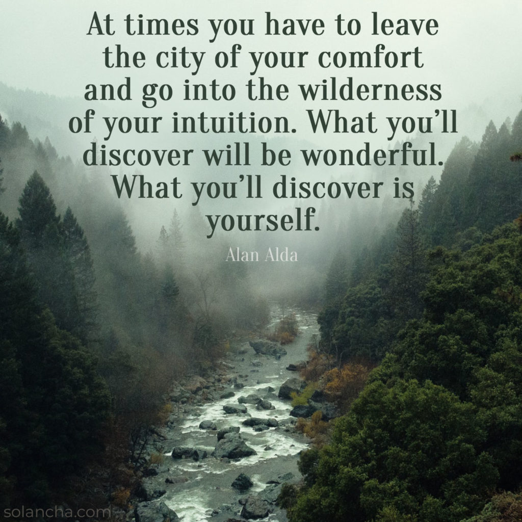 self-discovery quote image