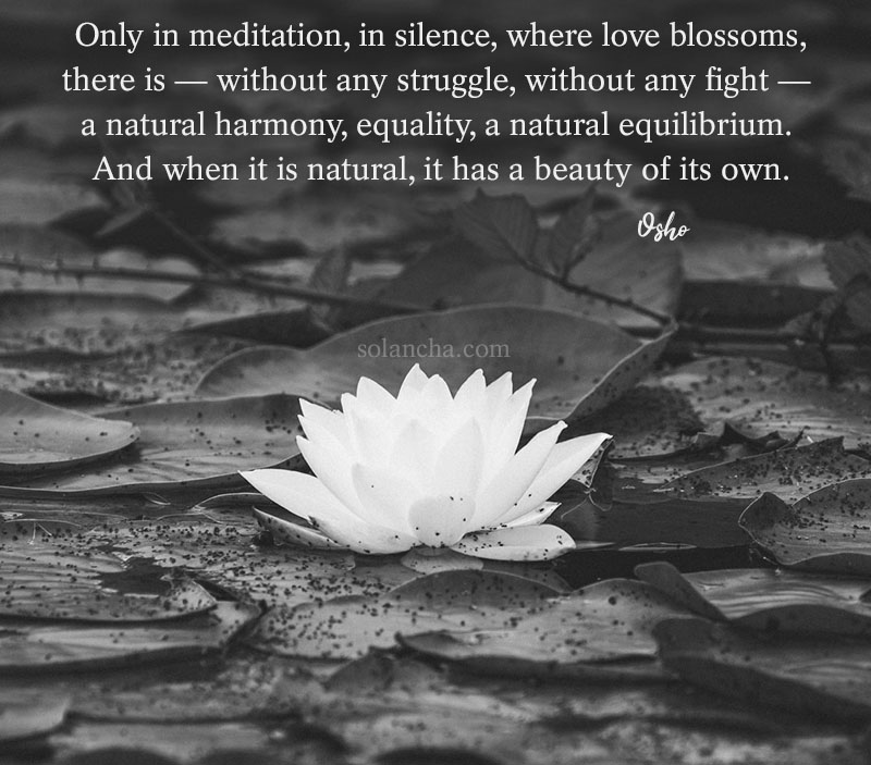 Osho quote on inner harmony image