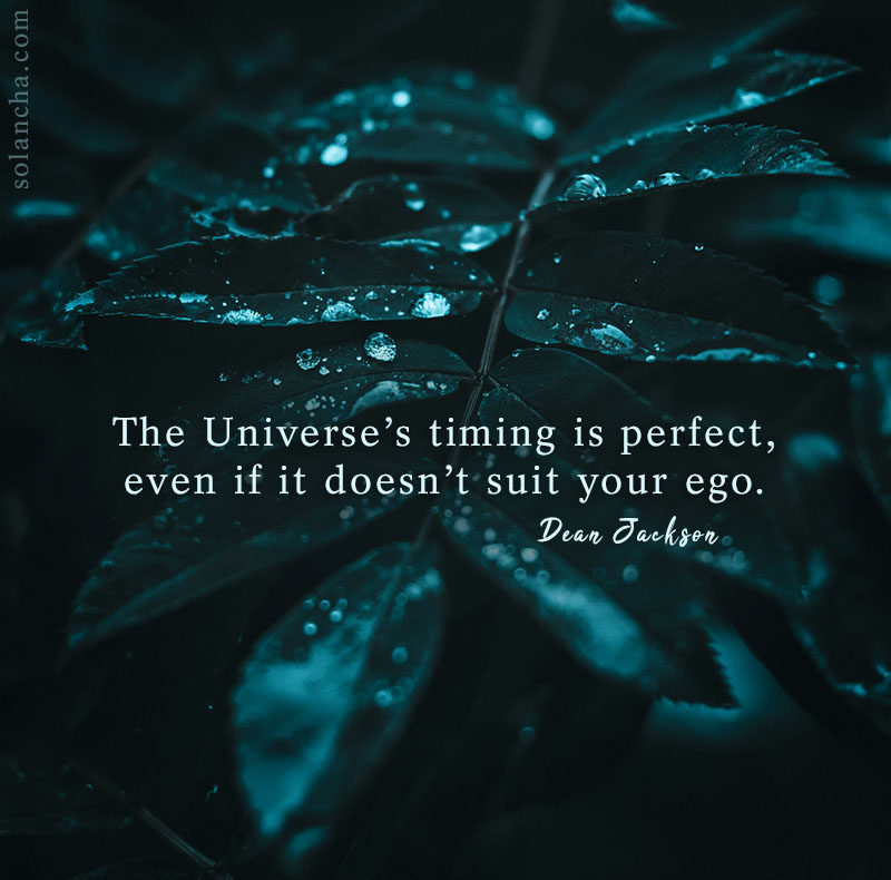 Universes's Timing Image