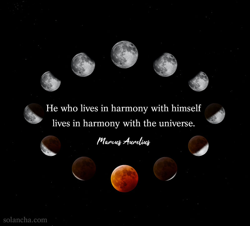 in harmony with the universe quote image