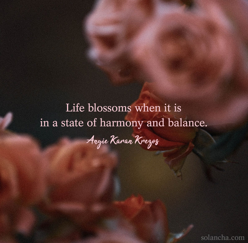 quote on harmony and balance image