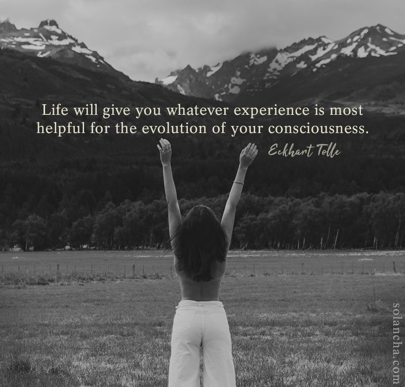 evolution of consciousness quote image