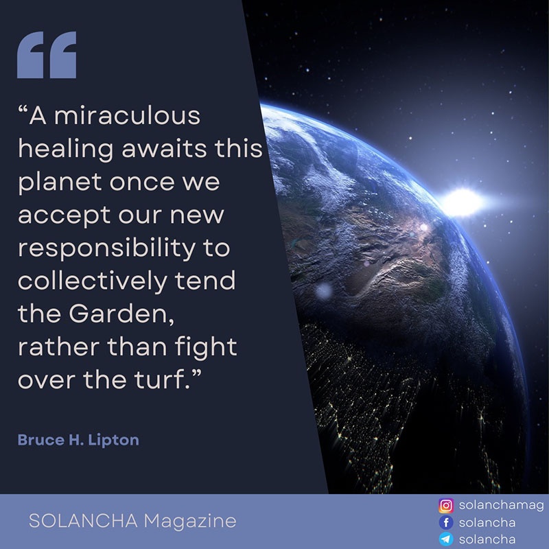 Bruce Lipton quote on planet healing image