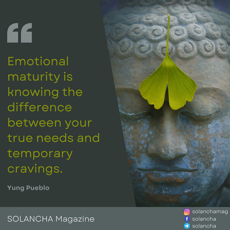 Yung Pueblo Quote On Emotional Maturity Image