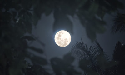 full moon in Leo Image