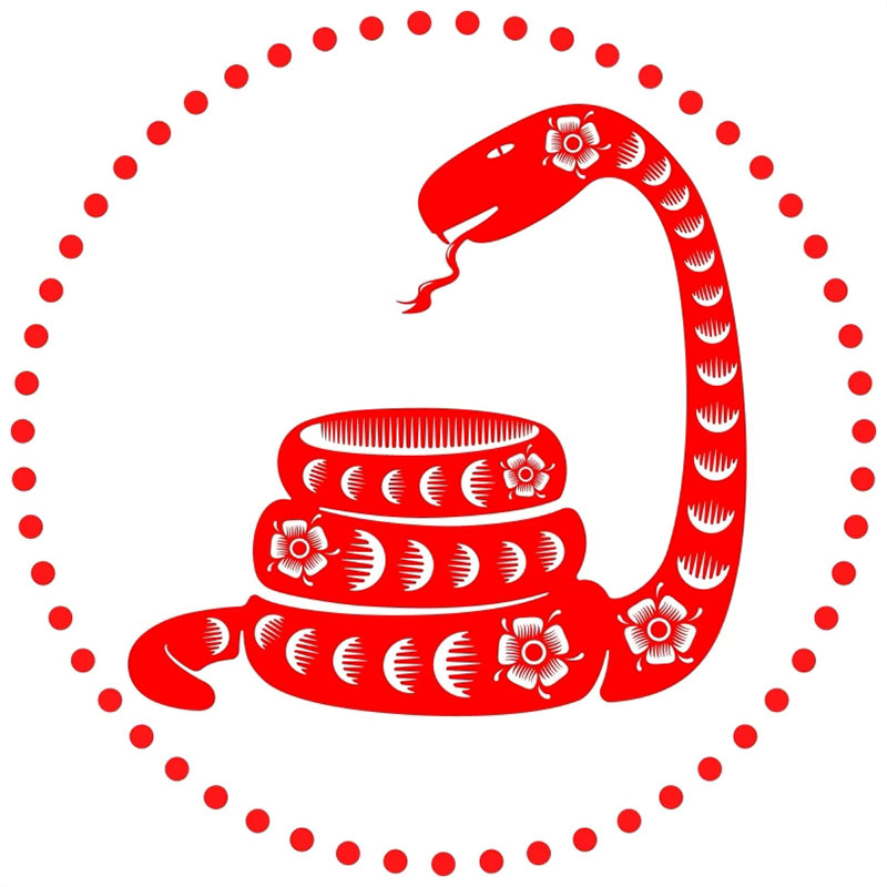 Snake Chinese Astrology Image