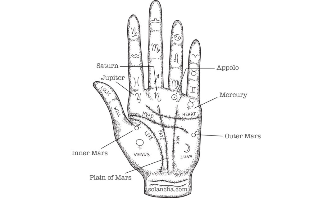 Mounts and Plains palmistry image