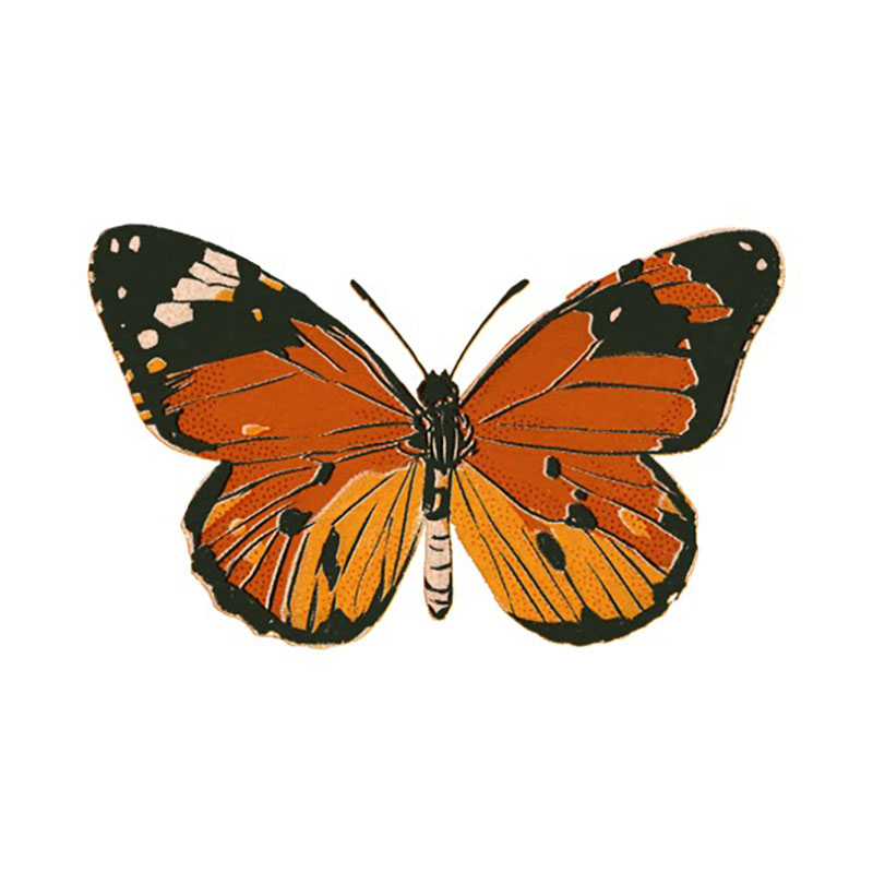 Butterfly spirit animal image