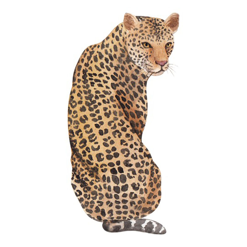 Cheetah spirit animal image