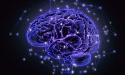 brain detox dopamine fasting image