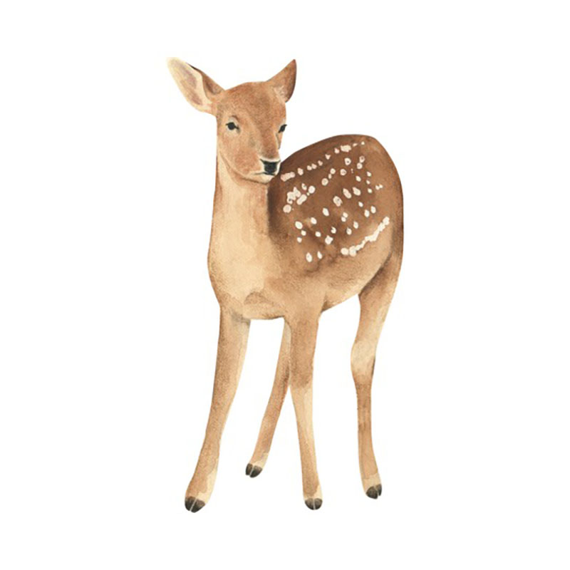 deer spirit animal image