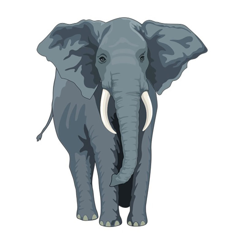 elephant totem animal image