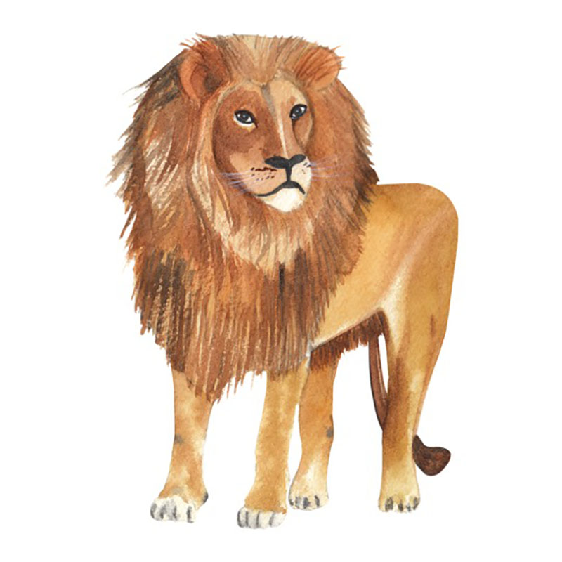 lion totem image
