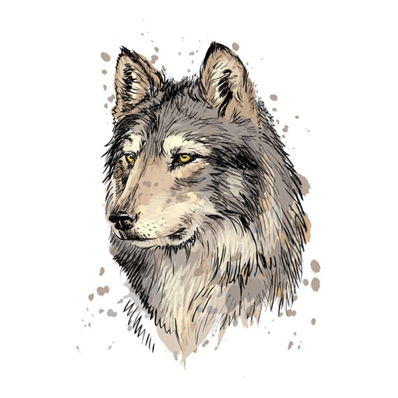 wolf spirit animal image