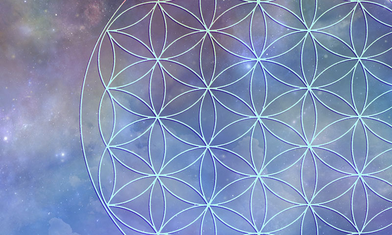 sacred geometry flower image