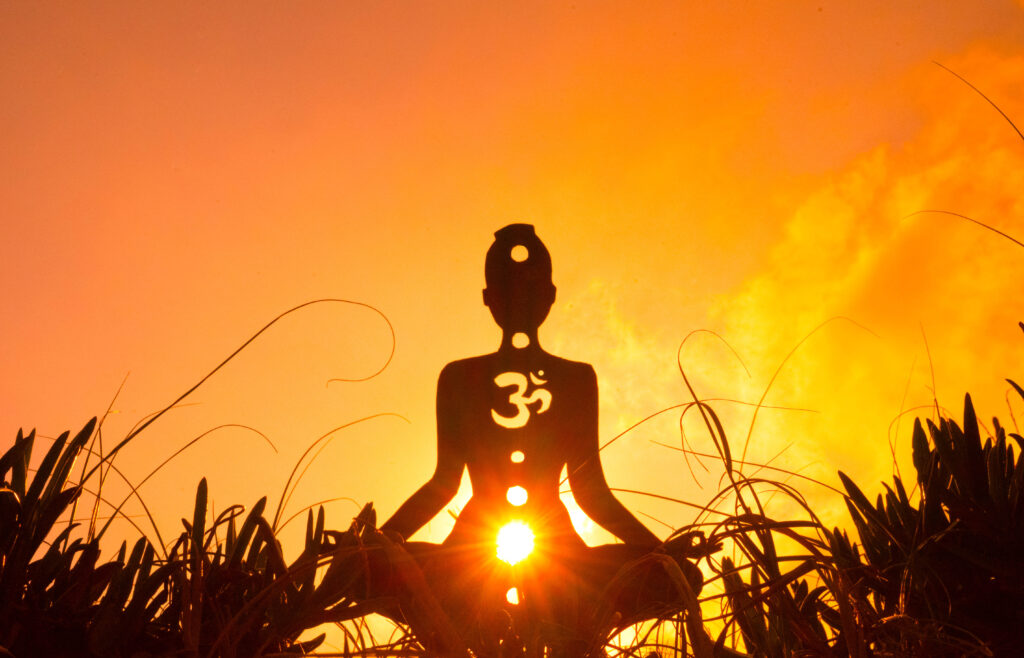 Svadhisthana (Sacral) chakra Image