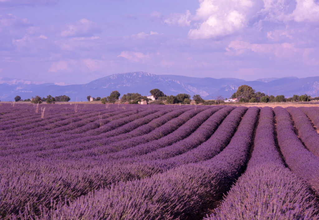 France Image