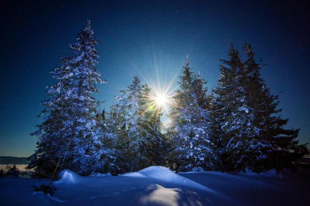Winter Solstice 2024 Image